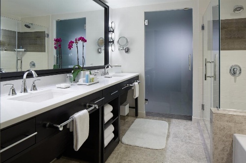 Loews Chicago Hotel image 4