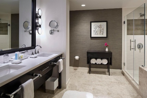 Loews Chicago Hotel image 6