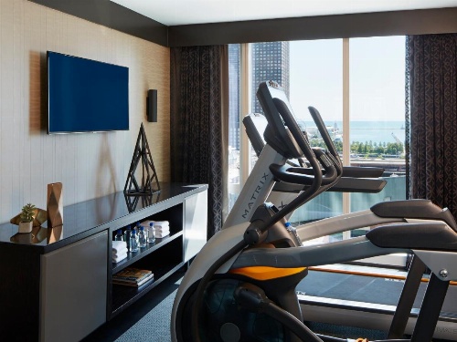 Loews Chicago Hotel image 8